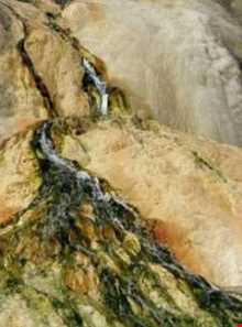 چشمه‌های آب معدنی سنگرود