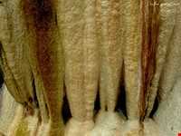 چشمه‌های آب معدنی سنگرود