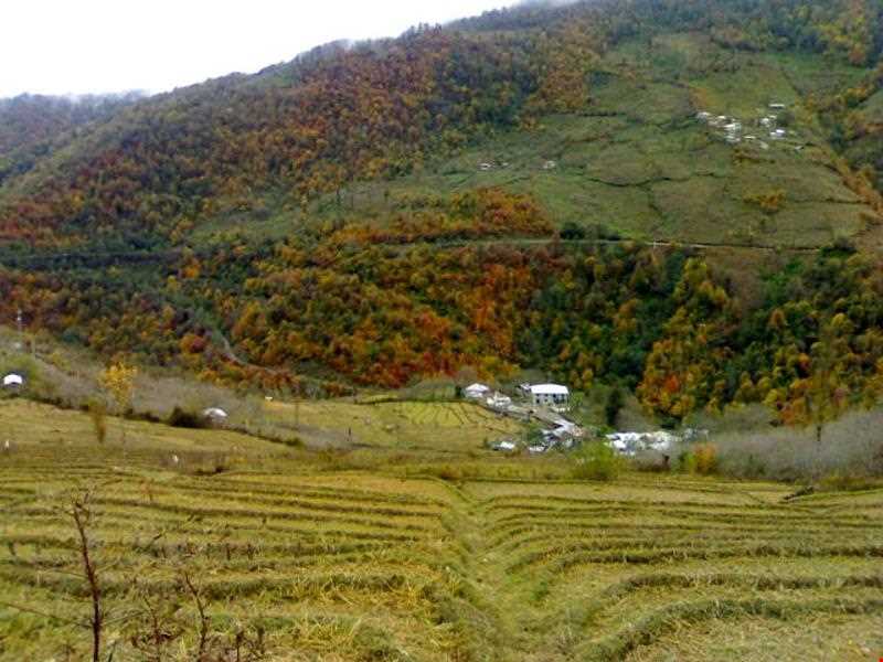 روستای پلام