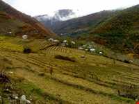 روستای پلام