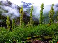 روستای پلام