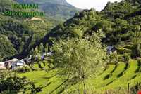 روستای پلام