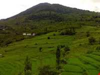 روستای پلام