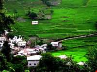 روستای پلام