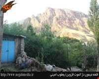 میمون قلعه  ( مبارک قلعه )