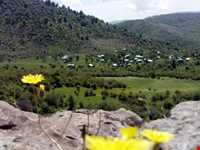 دریاچه یسان بره سر