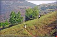 دریاچه یسان بره سر