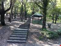 Shahid zare Forest Park