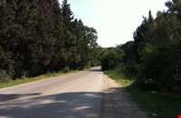 Shahid zare Forest Park