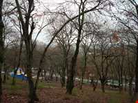 Shahid zare Forest Park