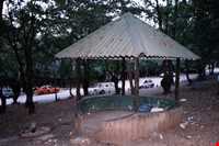 Shahid zare Forest Park