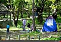 Shahid zare Forest Park