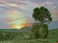 مروارید سبز ارسنجان