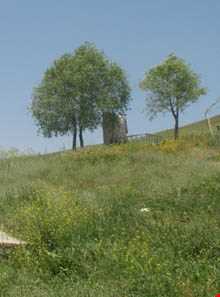 آبشار زیار ( شیخ علی خان )