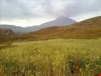 آبشار زیار ( شیخ علی خان )