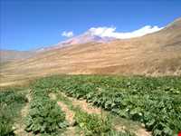 آبشار زیار ( شیخ علی خان )