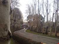 Palace of Mellat Museum