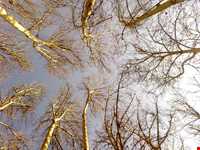 Palace of Mellat Museum