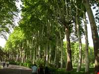 Palace of Mellat Museum