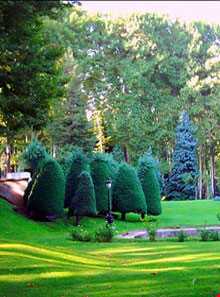 موزه آب سعدآباد