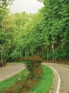 موزه هنرهای زیبا