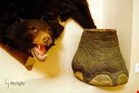 موزه برادران امیدوار