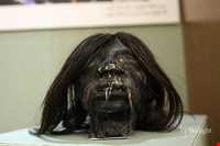 موزه برادران امیدوار