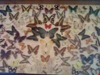 موزه برادران امیدوار