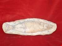 موزه برادران امیدوار