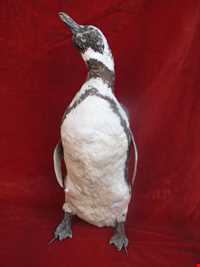 موزه برادران امیدوار