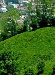 بام سبز لاهیجان