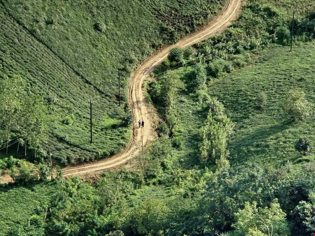 بام سبز لاهیجان