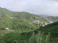 بام سبز لاهیجان