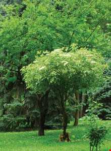 موزه اسناد و مدارک تاریخی سعدآباد