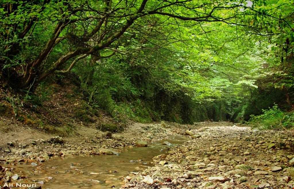 آبشار سنگ نو