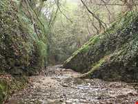 آبشار سنگ نو