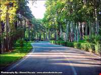 موزه نگارستان