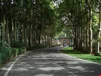 موزه نگارستان