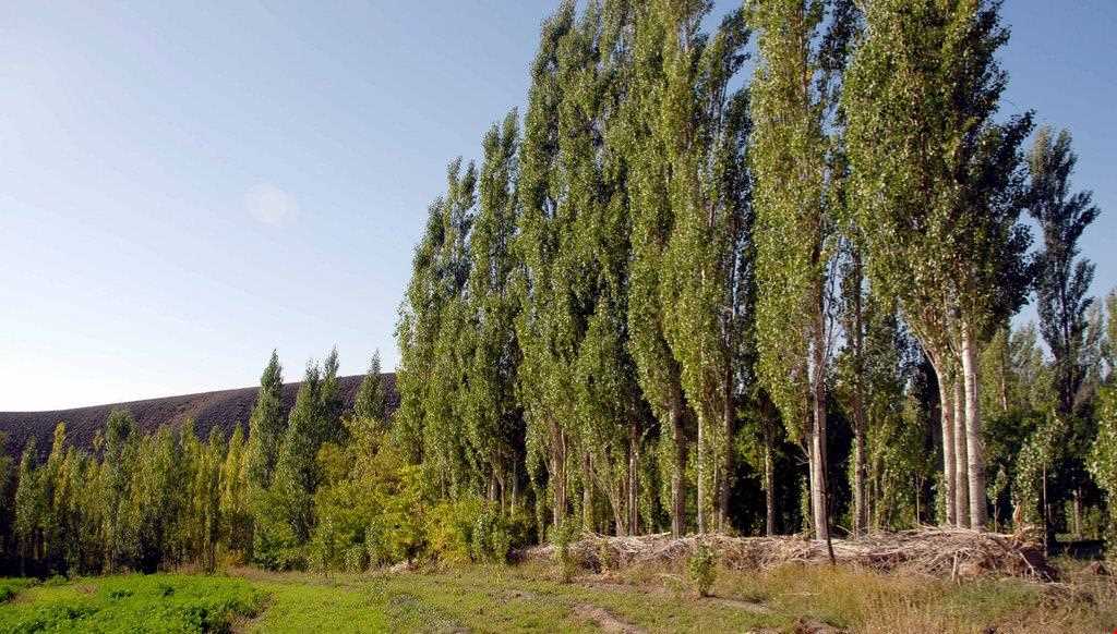 Khosh yeylagh Nature Reserve