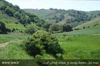 Khosh yeylagh Nature Reserve