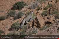 Khosh yeylagh Nature Reserve