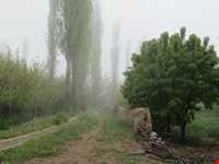 Khosh yeylagh Nature Reserve