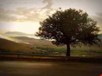 Khosh yeylagh Nature Reserve