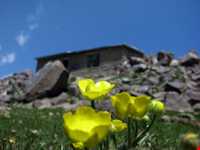 روستای وردیج