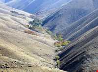 روستای وردیج