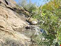 روستای وردیج