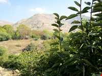 روستای وردیج