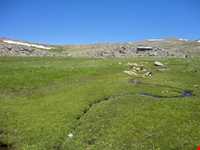 روستای وردیج