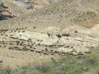 روستای وردیج