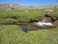 روستای وردیج